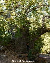 Поход по Турции