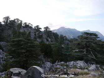 Поход по Турции