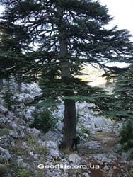 Поход по Турции