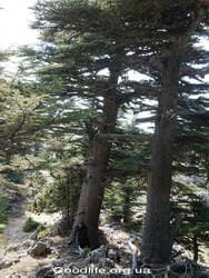 Поход по Турции