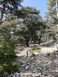 Поход по Турции