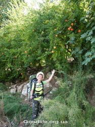 Поход по Турции