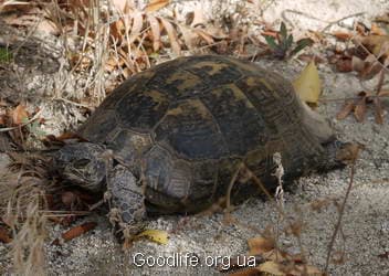 Поход по Турции - Каппадокия