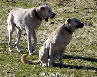 поход по Турции - Эрджияс и Аладаглары
