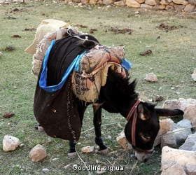 поход по Турции - Эрджияс и Аладаглары