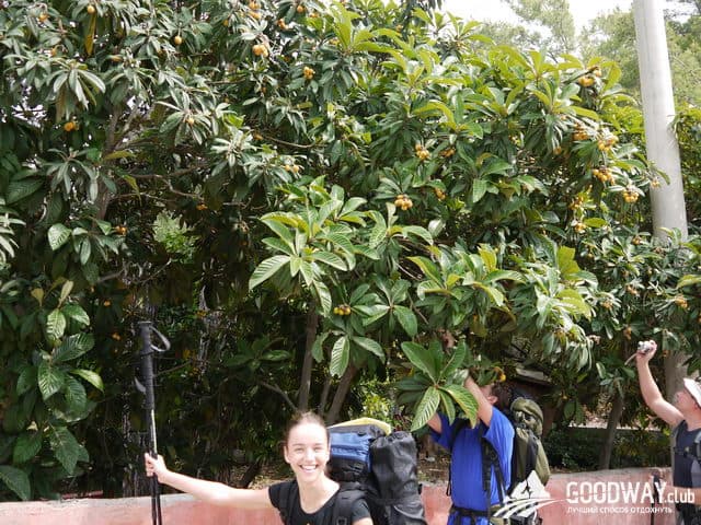 поход по Ликийской тропе в Турции