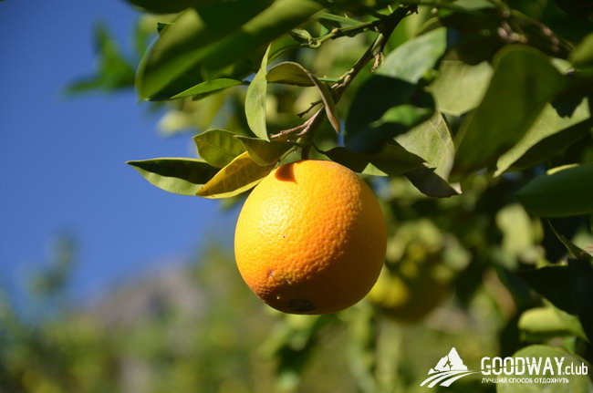 поход по Турции c детьми