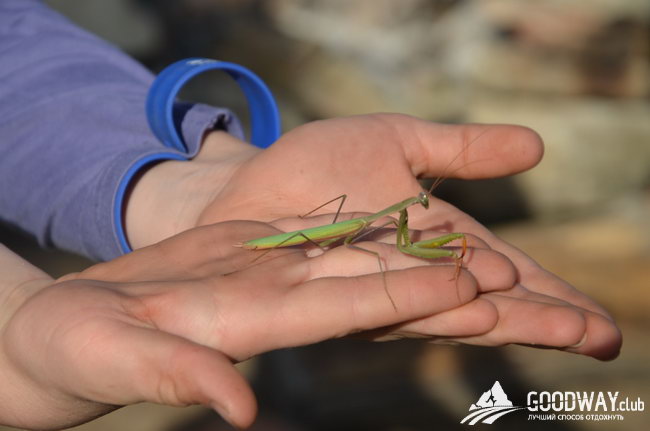 поход по Турции c детьми