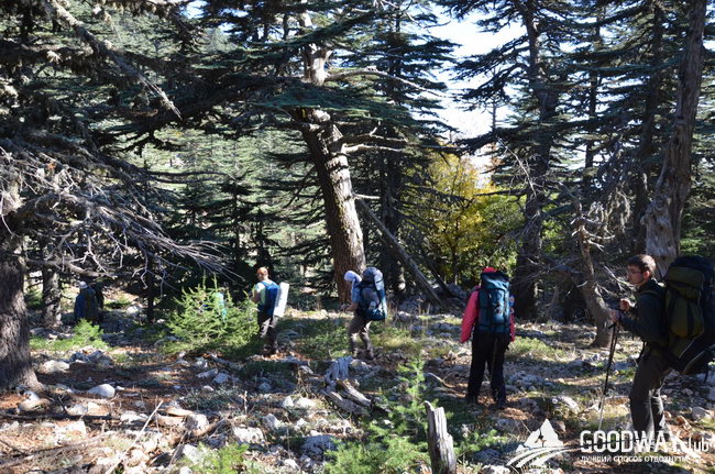 поход по Турции c детьми