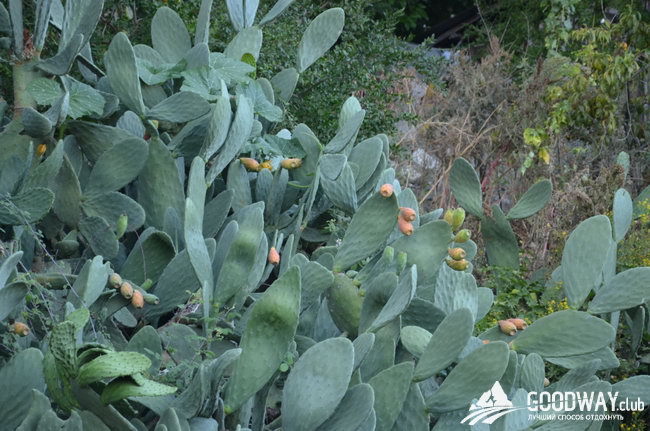 поход по Турции c детьми