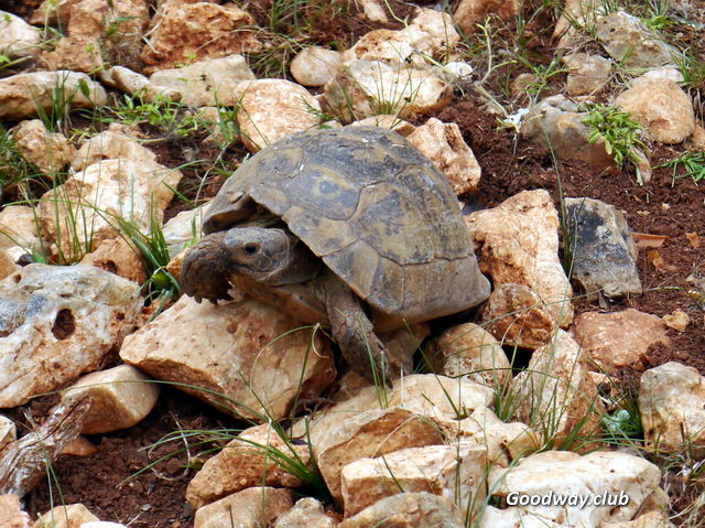 Турция Западная Ликия