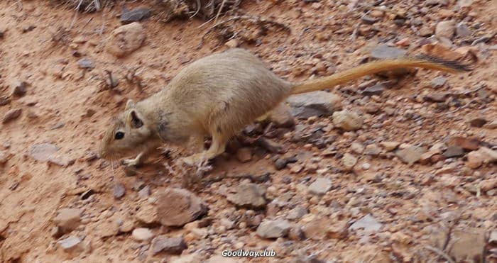 Поход по Тянь-Шаню, Киргизия