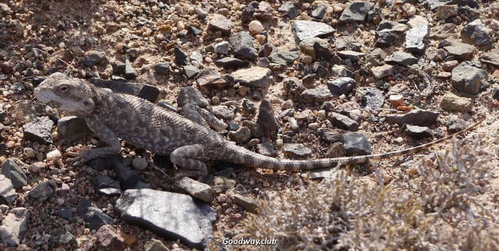 Поход по Тянь-Шаню, Киргизия