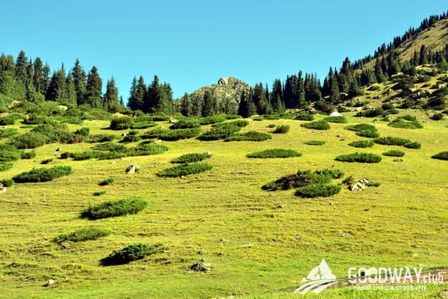 Отзыв о походе по Тянь-Шаню с Goodway.club