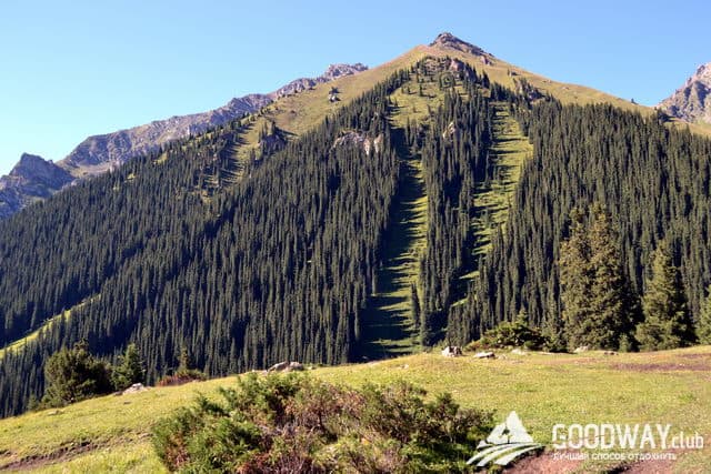 Отзыв о походе по Тянь-Шаню с Goodway.club