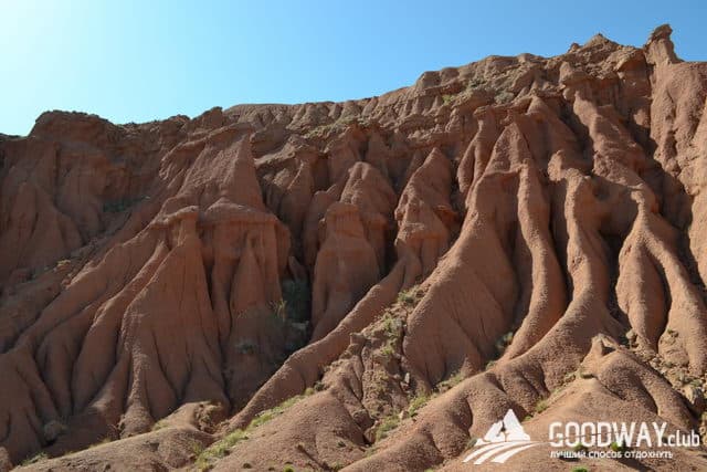 Отзыв о походе по Тянь-Шаню с Goodway.club