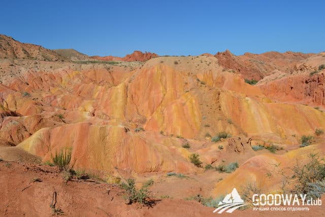 Отзыв о походе по Тянь-Шаню с Goodway.club