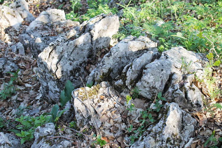 Поход по Крыму