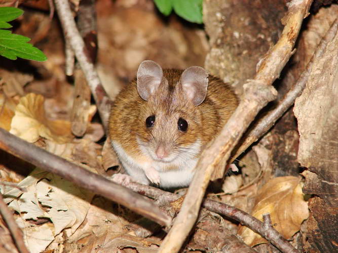 Поход по Крыму