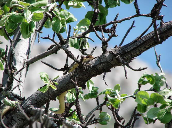 Поход по Крыму