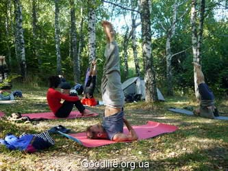 Берёзка в берёзках