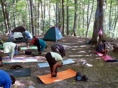 Занятия по йоге