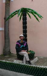 завод шампанских вин Новый Свет-пальма из бутылок 