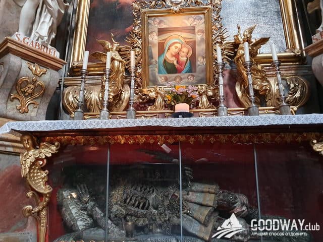 Экскурсия по Вене Экскурсия по Вене