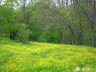  Поход по Армении 