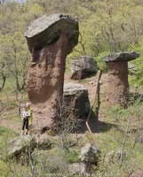 Каменные Грибы