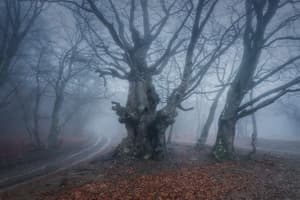  Мультитур по Крыму без рюкзаков 