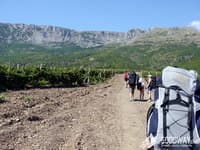 Массандровские виноградники