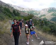 Массандровские виноградники