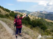 Массандровские виноградники