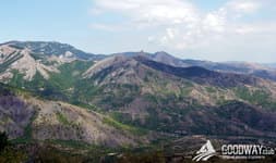 Массандровские виноградники