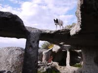 Поход Пещерные города Крыма