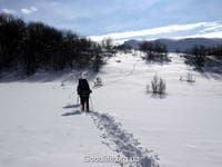 по звериным следам