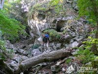 Тиссовое ущелье Тиссовое ущелье