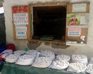 поход по Фанским горам