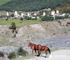 поход по Грузии - Верхняя Сванетия