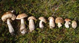 Поход по Исландии