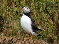 Поход по Исландии