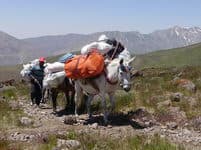 Треккинг на Демавенд 