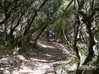 Поход по Израилю. Хайфа