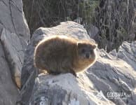 Поход по Израилю. Хайфа