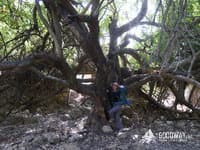 Поход по Израилю