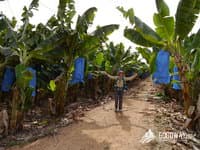 Поход по Израилю