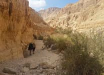 Поход по Израилю