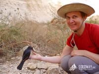 Поход по Израилю. Хайфа