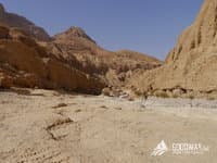 Поход по Израилю